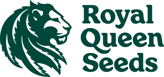 Royal Queen Seeds – Suosituin siemenbrändi Suomessa? - CannaSeedMafia