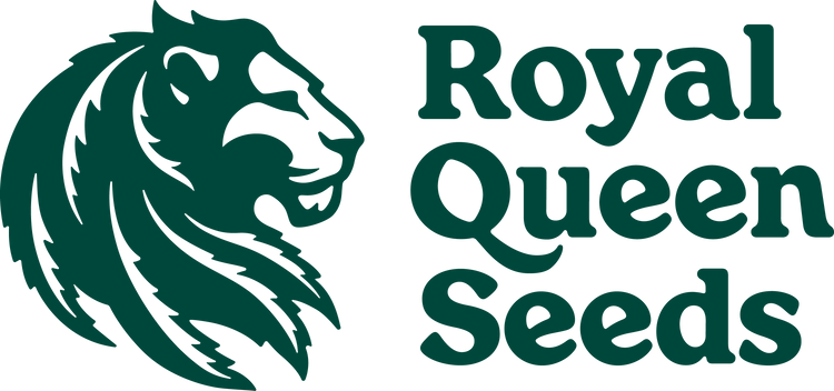 Autoflower Siemenet – Royal Queen Seeds