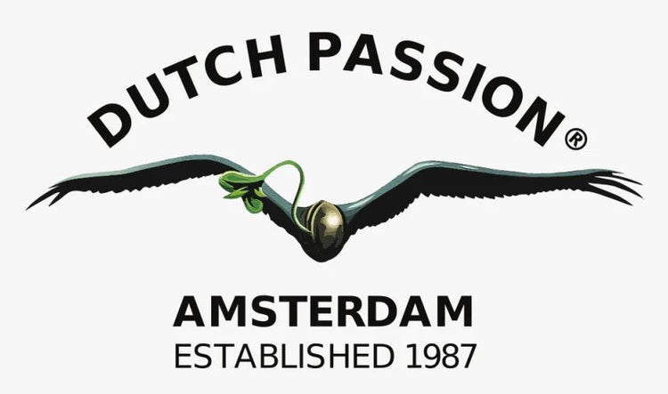 Autoflower siemenet | Dutch Passion - CannaSeedMafia