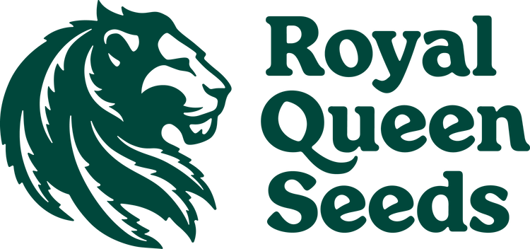 Autoflower siemenet | Royal Queen Seeds - CannaSeedMafia