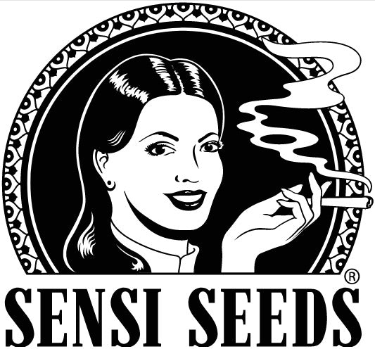 Feminisoidut siemenet | Sensi Seeds - CannaSeedMafia