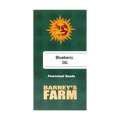 Blueberry OG Feminisoitu 5kpl | Barney’s Farm - CannaSeedMafia