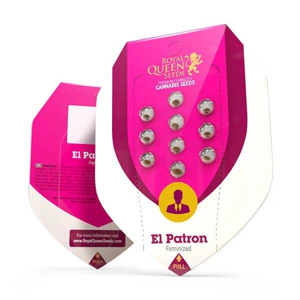 EL Patron Feminisoitu Royal Queen Seeds - CannaSeedMafia