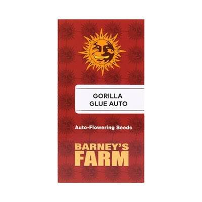 Gorilla Glue Auto | Barney’s Farm - CannaSeedMafia