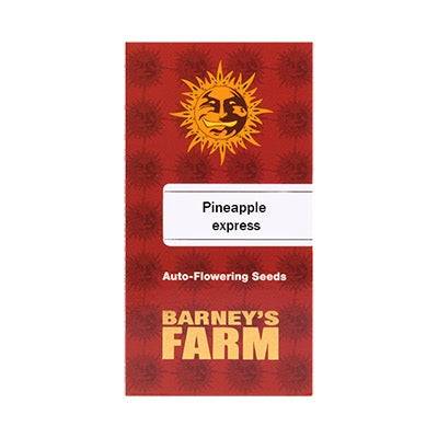 Pineapple Express Auto 5kpl | Barney’s Farm - CannaSeedMafia