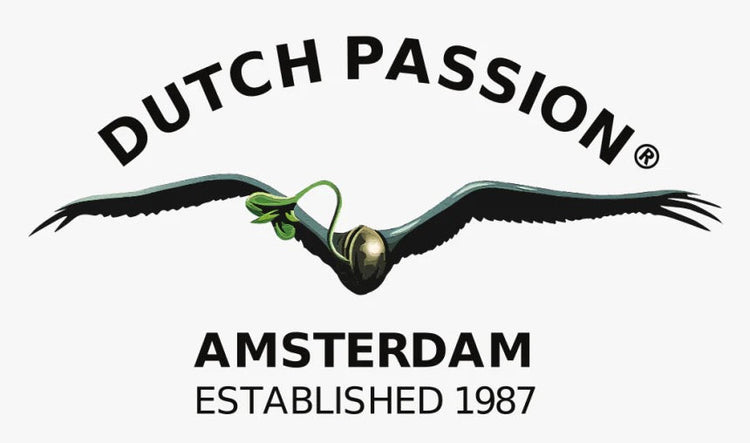 Feminisoitu siemenet | Dutch Passion |  CannaSeedMafia