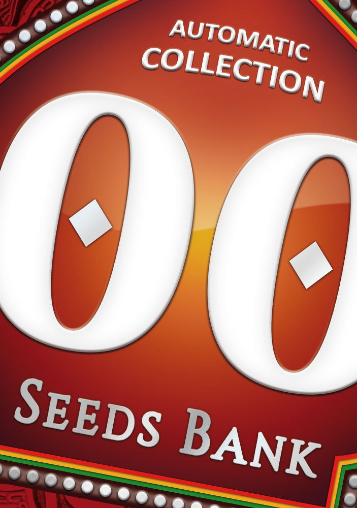 Autoflower siemenet | 00 Seeds