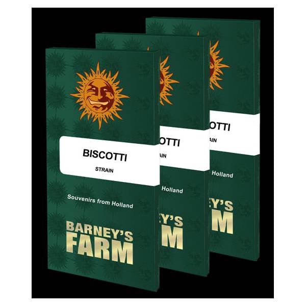 Biscotti Feminisoitu Barney's Farm