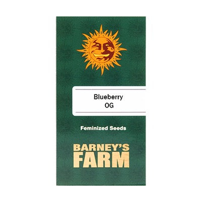 Blueberry OG Feminisoitu 5kpl  | Barney’s Farm