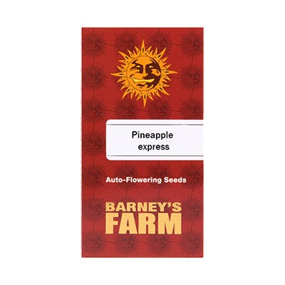 Auto Pineapple Express 5kpl | Barney’s Farm