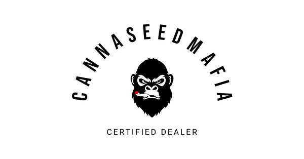 CannaSeedMafia