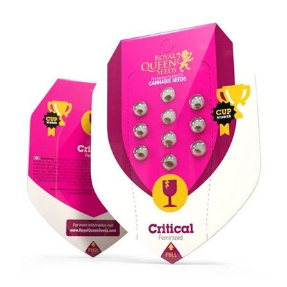 Critical Feminisoitu Royal Queen Seeds - CannaSeedMafia