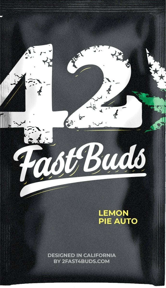 Lemon Pie Auto Fast Buds - CannaSeedMafia