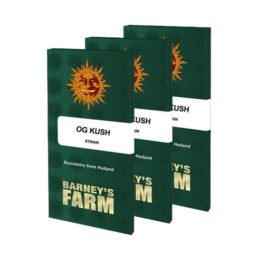 OG Kush Feminisoitu | Barney’s Farm - CannaSeedMafia